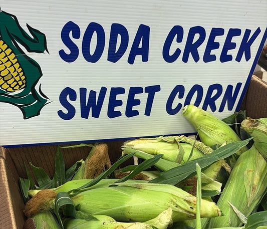 4 dozen fresh Soda Creek Corn - pick up 30 Aug